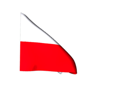 IDSS-Poland
